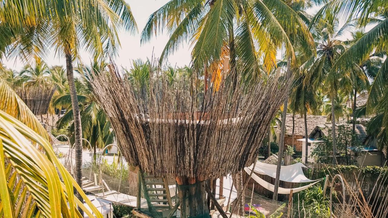 The Nest Boutique Resort Paje Eksteriør billede